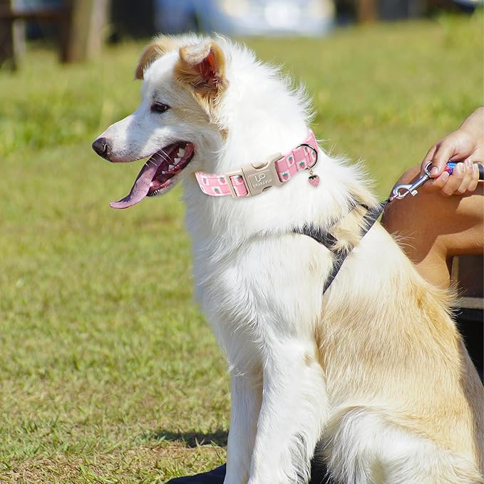 Spring Dog Collar, UP URARA PUP Strawberry Collars in Pink Checkered Adjustable Pet Collar with Quick Release, Daily Dog Accessories for Small Medium Large Dogs