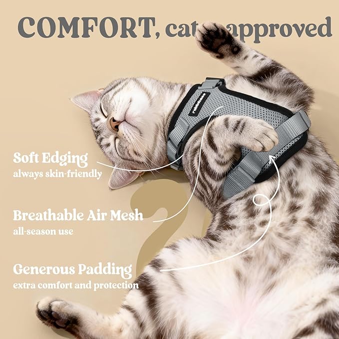 rabbitgoo Cat Harness and Leash for Walking, Escape Proof Soft Adjustable Vest Harnesses for Cats, Easy Control Breathable Reflective Strips Jacket, Grey, XXS