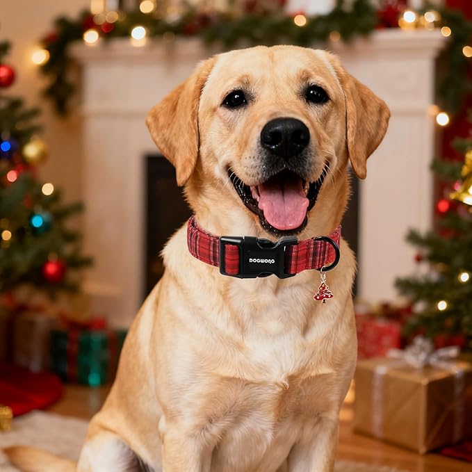 DOGWONG Christmas Plaid Dog Collar, Cute Adjustable Red Tartan Collar, Red Grid Dog Collar with Strong Plastic Buckle for Small Medium Large Dogs,S
