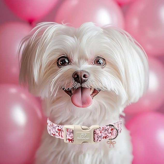 Girl Dog Collar for Small Dogs - Cute Heart Bow Print Girly Dog Collars, Soft Adjustable Spring/Summer Holiday Female Dogs Collar with Quick-Release Buckle XS