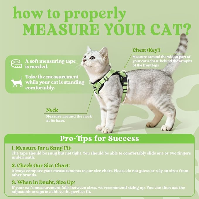 rabbitgoo Cat Harness and Leash for Walking, Escape Proof Soft Adjustable Vest Harnesses for Cats, Easy Control Breathable Reflective Strips Jacket, Light Green, XXS