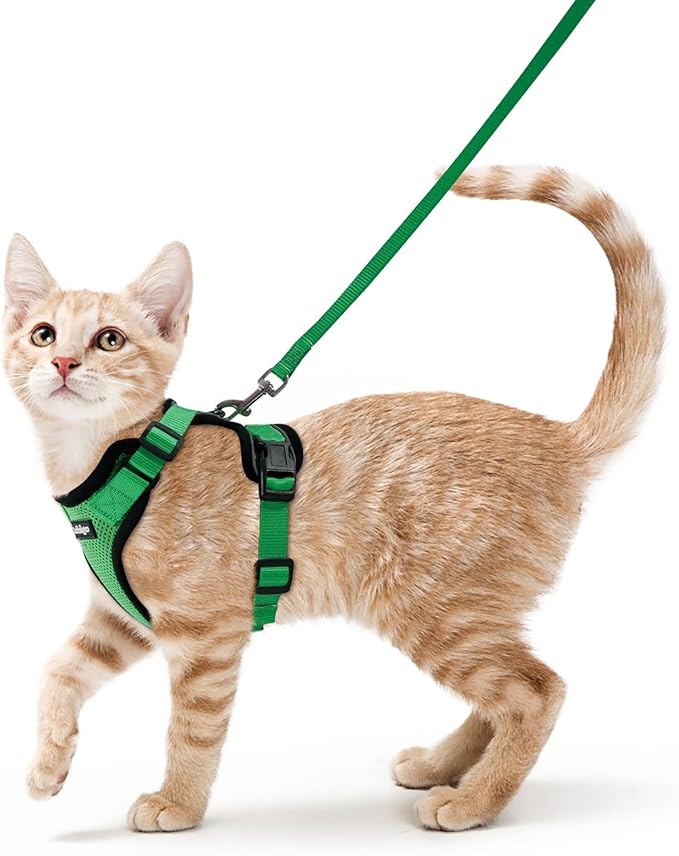 rabbitgoo Cat Harness and Leash for Walking, Escape Proof Soft Adjustable Vest Harnesses for Cats, Easy Control Breathable Reflective Strips Jacket, Grass Green, XS