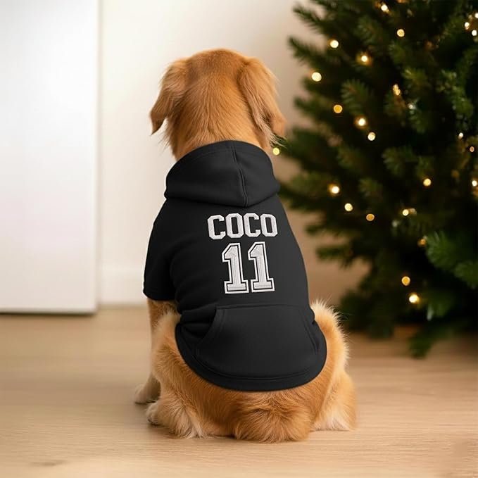 Personalized Dog Hoodie, Custom Embroidered Name Pet Hoodie, Warm Winter Outfit for Dogs, Pet Clothes, Gift for Dog Lovers 2