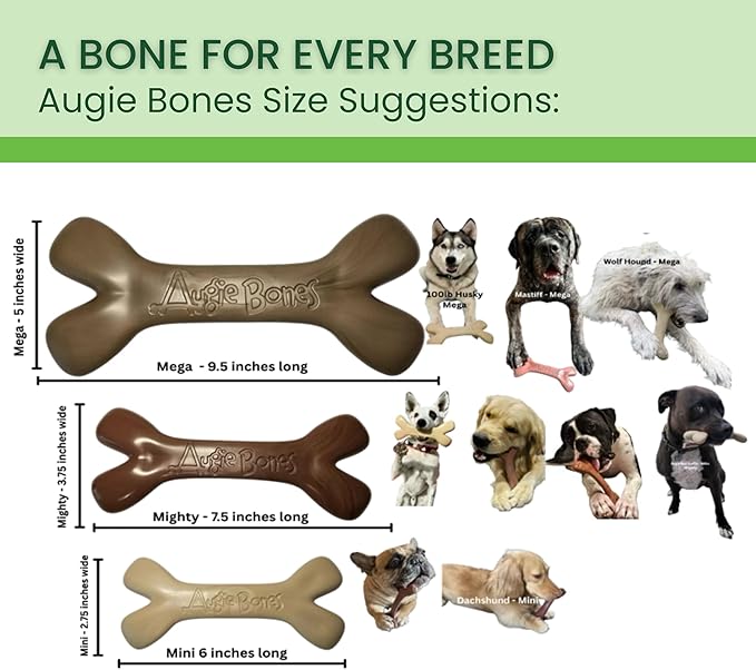 Non-Toxic Dog Toys - Sustainable Peanut Butter Flavored Dog Chew Toys for Aggressive Chewers - Plant-Based Bioplastic Pet Toys - Made in The USA (Mega)