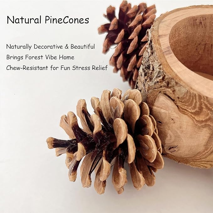 2 Pcs Bird Perch with Safe Bowl Wood & Pinecones - Bird Toys Chew Toys 100% Natural & Durable for Cockatiel, Conure, Budgie, Lovebird, Parakeet - Birdcage Accessory for Foraging & Oral Health