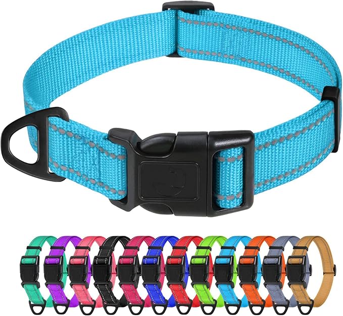 TagME Reflective Nylon Dog Collars, Adjustable Classic Pet Collar with Quick Release Buckle for Large Dogs, Sky Blue, 1.0" Width