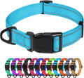 TagME Reflective Nylon Dog Collars, Adjustable Classic Pet Collar with Quick Release Buckle for Large Dogs, Sky Blue, 1.0" Width