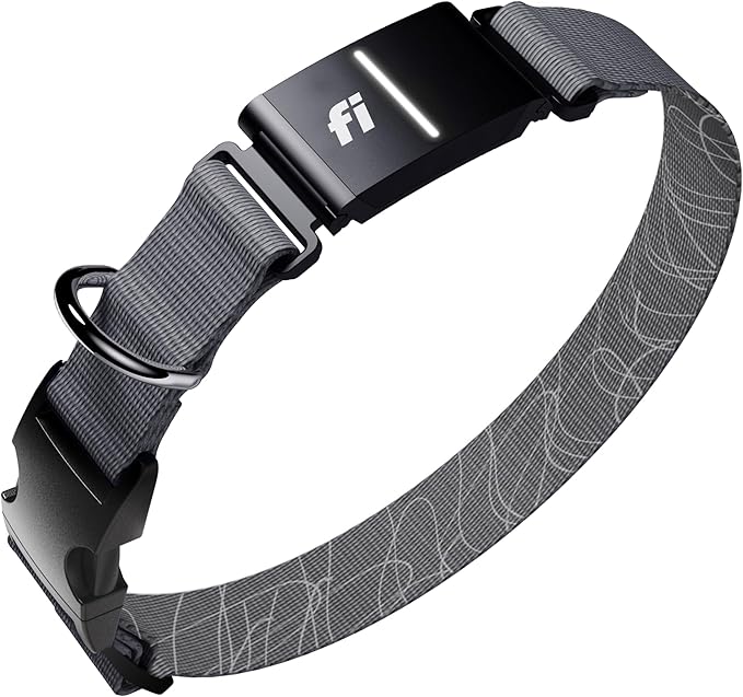 New Fi Series 3+ Smart Dog Tracker Collar [6 Month Membership Included] GPS Tracker for Dogs with Health & Behavior Monitoring, Escape Alerts, Waterproof, LED, Apple Watch Compatible (Gray, Small)