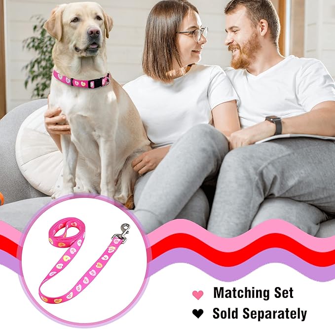 Native Pup Valentine’s Dog Collar- Valentines Day Pet Collars- Valentine Girly Hearts- Pink Red Heart- Cute Boy Girl Puppy Gift- Adjustable for Small, Medium, Large Breeds (Candy Hearts, Large)