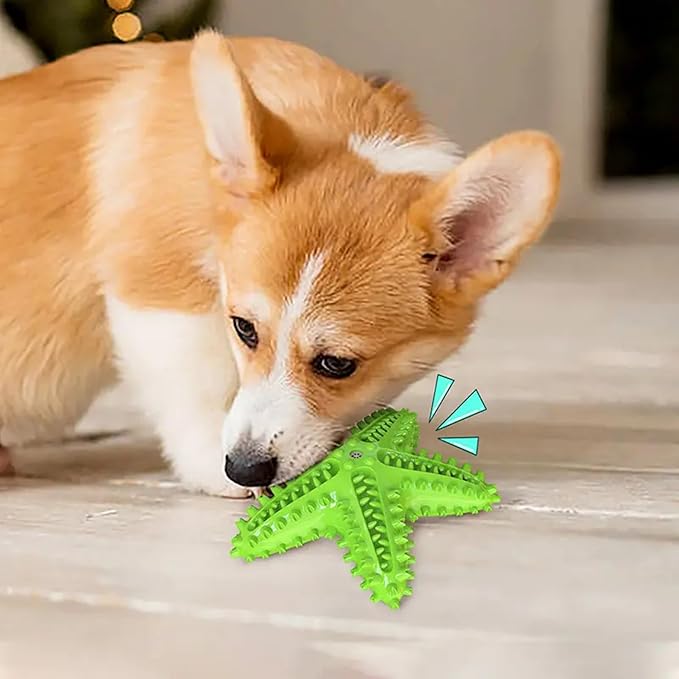 Chew Toy for Dog Toothbrush Stick Dog Toys for Aggressive Chewers Interactive Toys Treats Tough Toy to Keep Them Busy Chew Toys for Small Dogs (Star Toy - Green)