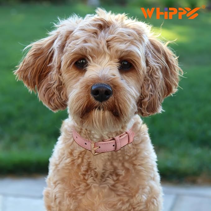 WHIPPY Leather Dog Collar for Small Medium Large Dog Adjustable Soft Breathable Leather Padded Puppy Collar with Alloy Buckle Heavy Duty Waterproof Classic Dog Pet Collar,Pink,L