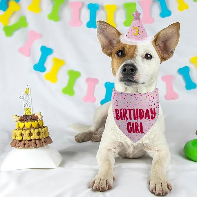 Dog Birthday Bandana Set, Light Pink Birthday Girl Decorations, HBD Party Supplies with Hat Bandana Numbers for Pets (Light Pink)