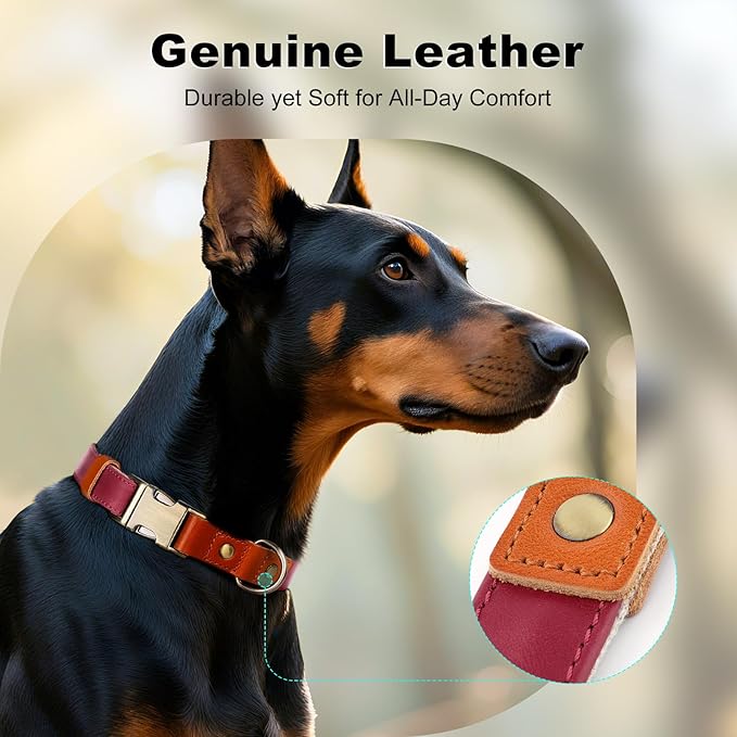 Plutus Pet Genuine Leather & Hemp Dog Collar – Adjustable Heavy Duty Pet Collar with Quick Release Metal Buckle, Soft & Stylish for Puppy and Small, Medium, Large Dogs (Burgundy, S)