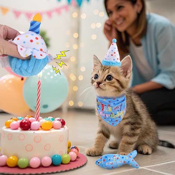 BINGPET Cat Birthday Catnip Toys for Indoor Cats, 5 Pcs Cat Birthday Gift Kitten Interactive Toys for Boy Girl Cats, Soft Plush Catmint Kitty Chew Kick Toy, Hat, Bandana, Balloon, Cake, Fish, Sky Blue