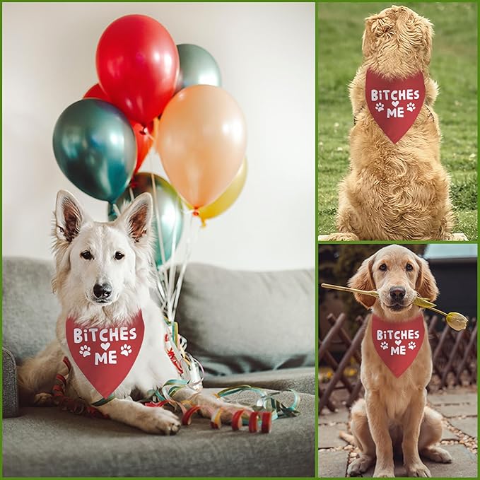 Funny Dog Birthday Bandana Boy Girl Pets Birthday Gift for Large Medium Small Dogs Cute Pet Gifts for Dog Mom Dad Photo Prop Pet Scarf Accessories Christmas Puppy Gifts