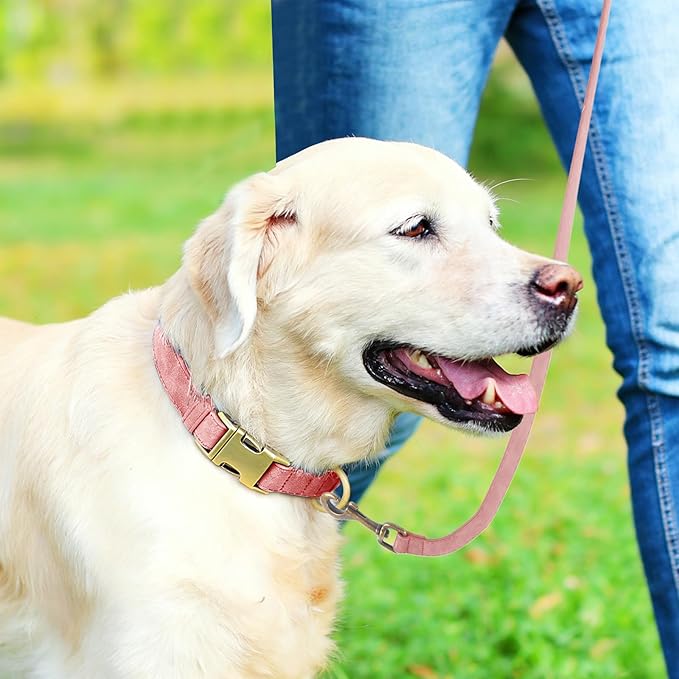 Genuine Leather Dog Collar - Adjustable Pet Collar with Quick Release Metal Buckle, Soft Skin Friendly Real Leather Collar for Small, Medium, Large Dogs (Pink Collar + Rope, L：Fit 15-23" Neck)