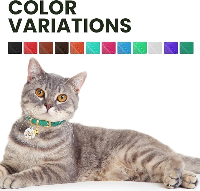 BRONZEDOG Leather Cat Collar with Removable Bells Non Breakaway Kitten QR Tag for Girl Boy (9" - 12" Cats/Mini Dogs, Light Brown & Gold)