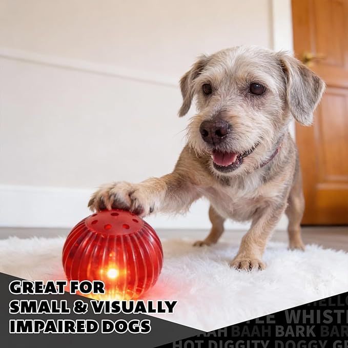 Pet Qwerks Blinky Babble Ball - Flashing Interactive Chew Dog Toy - Small