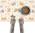 Cat Feeding Mat 24x16 inch Floral Ring Kitten Print Pet Bowl Placemat Non Slip Floor Mat for Food and Water Indoor Kitty Feeding Station Cute Meal Pad for Small Pets Kitchen Use