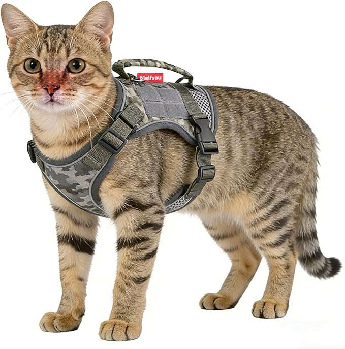 Dog Harness and Leash Set, Small Sized No Pull Pet Harness with Control Handle, Adjustable Tactical Harness for Small Medium Dogs Cats, Reflective Puppy Harness for Walking Hiking Training