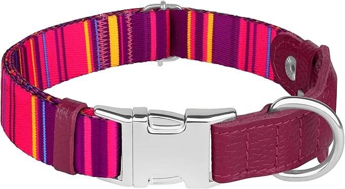 AirTag Dog Collar for Small Medium Large Breed - Adjustable Cute Pattern Dog Collar with Airtag Holder - Soft Leather Tracker GPS Apple Air Tag Pet Collars (Medium, 14"-18" Neck Fit, Striped)