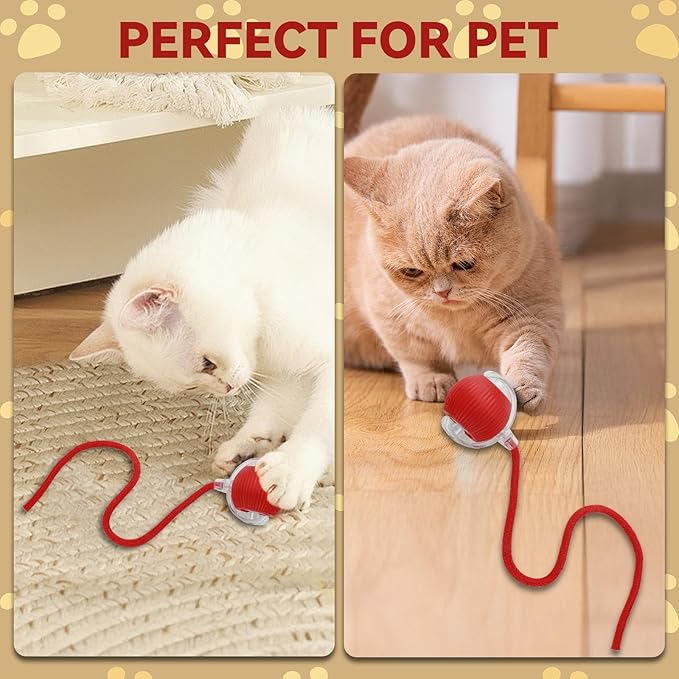 Interactive Electric Automatic Rolling Moving Rechargeable Self Play Stimulation Toy,Smart Pet Chase Ball with Speedy Tail Rope for Bored Indoor Cats Enrichment,stimulating Dogs Toy (Red)
