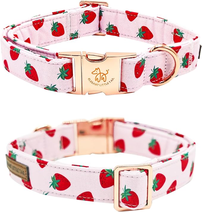 Elegant little tail Dog Collar, Strawberries Print Pet Collar Summer Dog Collar Durable Metal Buckle Dog Collars Cotton Pet Adjustable Dog Collars for Small Dogs