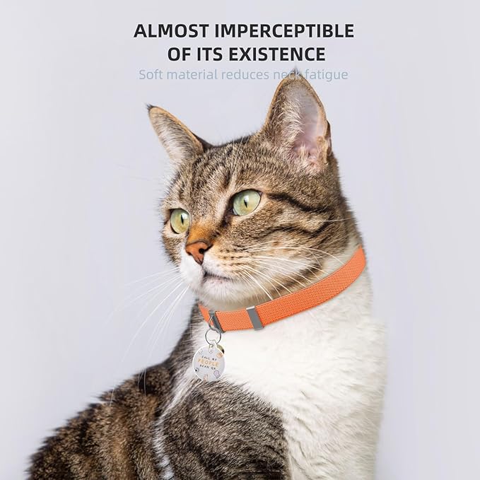 Cat Collar with Bell, Stretch Elastic Quick Release, Modifiable Pet Online Profile Page, Multiple Emergency Contact, Non Breakaway Lightweight Kitten Collar for Girl Cats, Pet Supplies, Gifts (Orange)