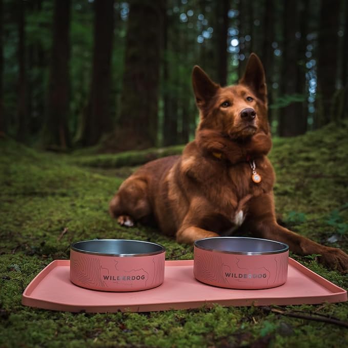 Wilderdog Silicone Pet Placemat Made with 100% Food-Grade Silicone Cone, BPA, PVC, and Phthalate-Free. Non-Toxic, Dishwasher Safe Feeding mat for Bowls with Spill Catcher and Raised Mountain Logo