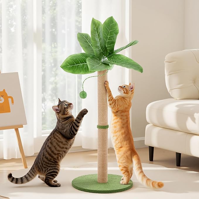 Cat Scratching Post 33 Inch, Cat Tree with Dangling Ball for Indoor Cats and Kittens, Green