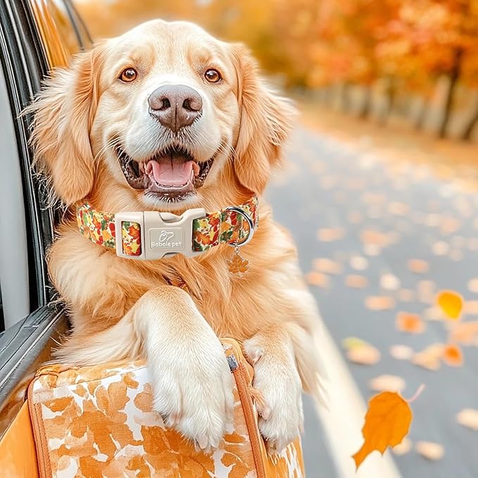 Fall Dog Collar Cute Autumn Leaves Puppy Collar - Light Comfortable Adjustable Pet Collars for Small Medium Large Girl Boy Dogs XS