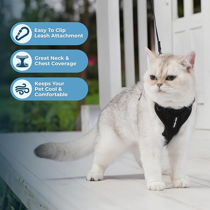 Voyager Escape-Proof Step-in Lock Cat Harness & 5ft Neoprene-Handle Leash Set All-Weather Mesh with Reflective Stitching for Small to Large Cats by Best Pet Supplies, Black, XXS
