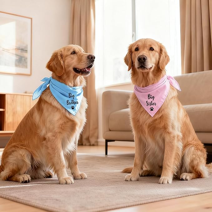 Big Sister and Big Brother Pet Dog Bandana, Triangle Scarf for Small Medium Large Dogs, Baby Announcement Gender Reveal Photo Prop Pet Scarf for Dog Lover, 2 Packs