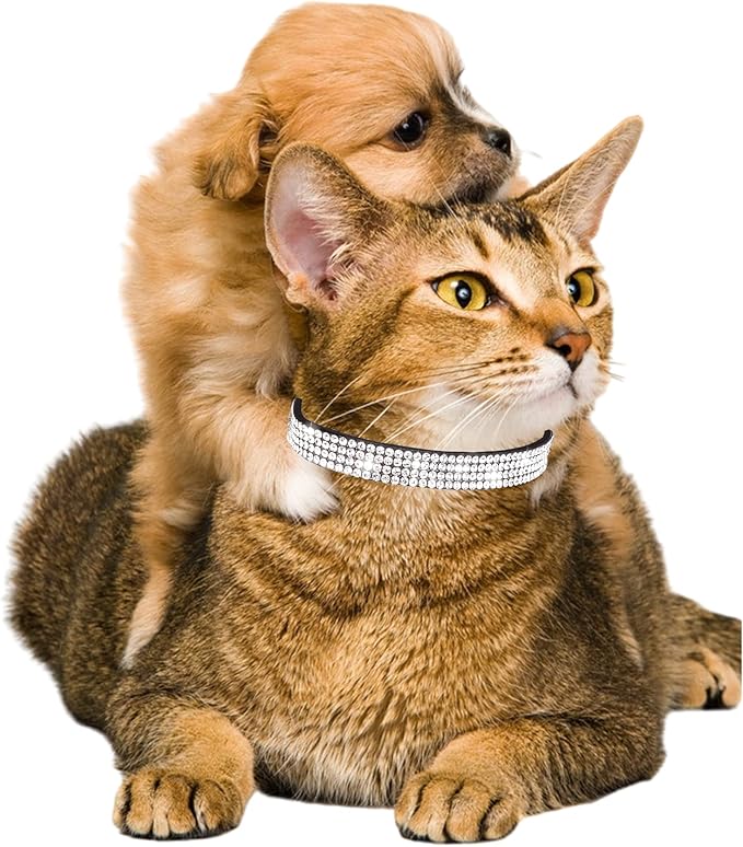 Cat Collars for Girl Cats with Rhinestone Soft Velvet,Breakaway Cat Collars with Bell,Adjustable Safe Kitten Collar (Black)