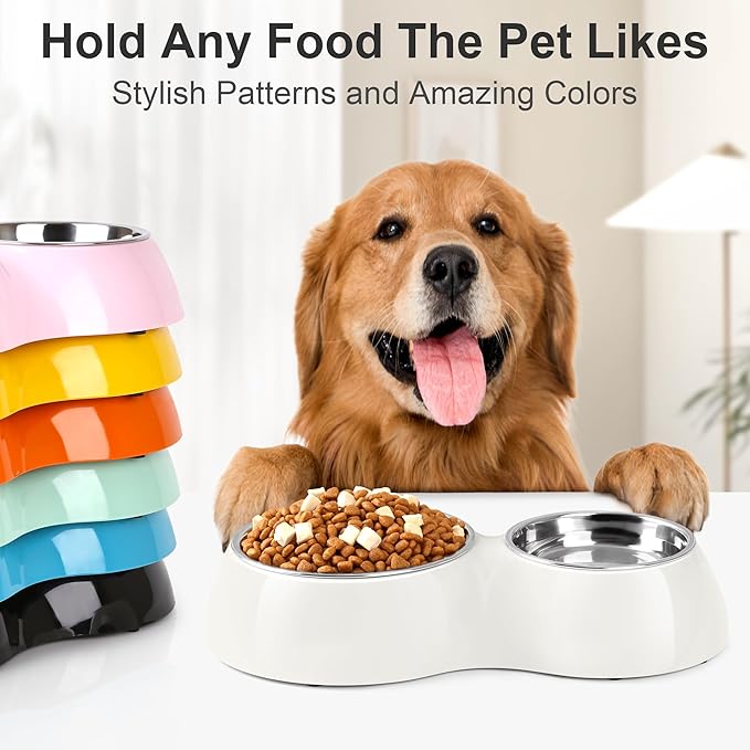 Elevated Dog Bowls Set - Non-Slip Raised Pet Feeder with Medium (10 oz) & Large (20 oz) Stainless Steel Bowls - Includes Durable Resin Stand for Corgi Puppies and Adult Cats - White