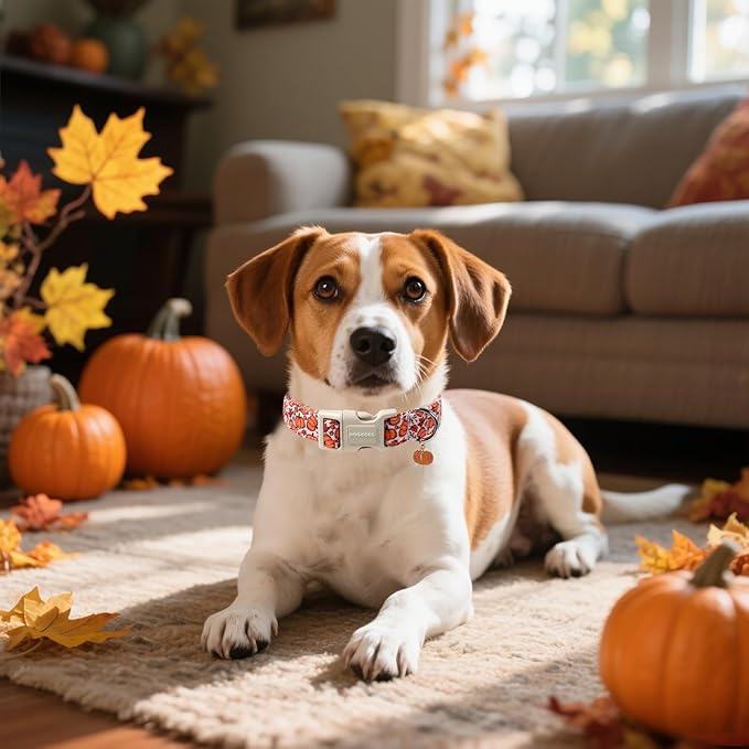 DOGWONG Pumpkin Dog Collar- Cute Pink Fall Dog Collars Adjustable Maple Fall Dog Collar for Small Medium Large Dogs L