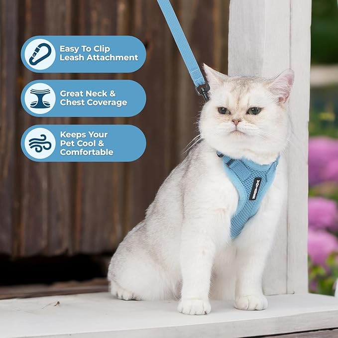 Voyager Escape-Proof Step-in Lock Cat Harness & 5ft Neoprene-Handle Leash Set All-Weather Mesh with Reflective Stitching for Small to Large Cats by Best Pet Supplies, Baby Blue, XXS