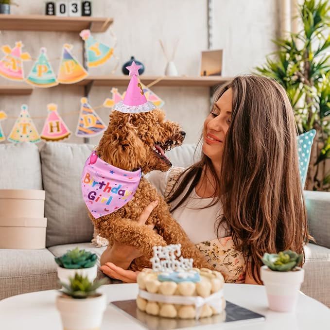 Dog Birthday Decorations, Dog Birthday Hat with Numbers for Large Medium Small,Pet Supplies (Pink)