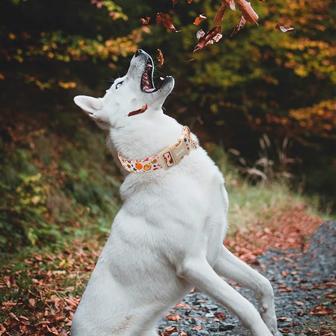 Spooky Halloween Dog Collar, Handmade Cotton with Bats & Pumpkins Pattern Pet Collar for Small Medium Large Dogs, Breathable, Adjustable & Comfortable Puppy Collar for Photos & Walks-S