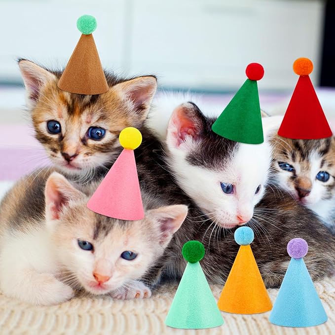 10 Pcs Mini Birthday Party Hats Multicolor Lovely Cone Hats for Animals Stuffed Pets Birthday Holiday Accessories Decoration Supplies