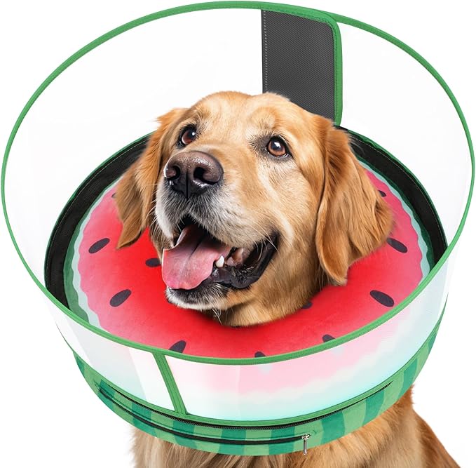 Inflatable Dog Cone with Anti-Licking Clear Shield, Protective Dog Donut Collar After Surgery, Adjustable Soft Recovery Cone for Pets, Alternative Collar with Buckle Strap (Watermelon, S)