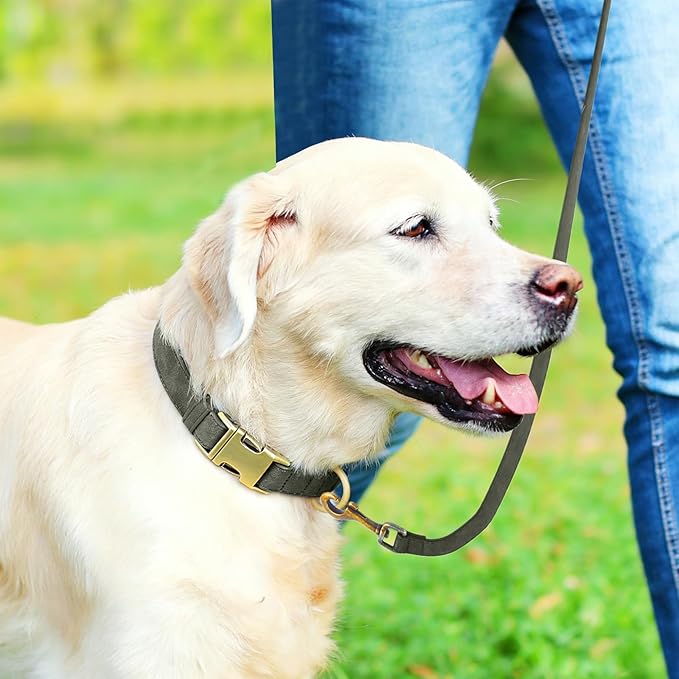 Genuine Leather Dog Collar - Adjustable Pet Collar with Quick Release Metal Buckle, Soft Skin Friendly Real Leather Collar for Small, Medium, Large Dogs (Dark Green, L：Fit 15-23" Neck)