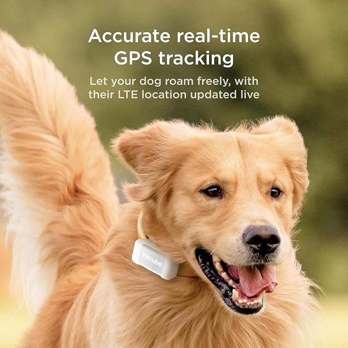 Petcube GPS Tracker for Dogs – Real-Time Location Tracking, Escape Alerts & Virtual Fences, Activity & Wellness Monitoring, Glow-in-The-Dark, Water & Dust Resistant