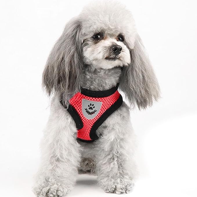 shudyear Summer cat Chest Harness and Leash, Anti-Escape Adjustable Soft mesh cat Leash and Chest Harness Set for All Types of Cats cat Vests (Size L,Red)