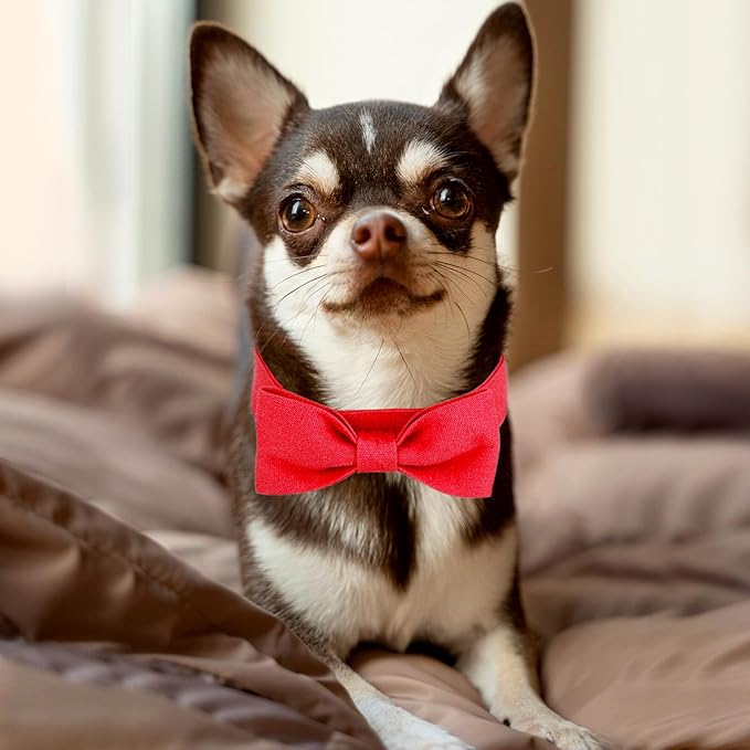 Segarty Dog Bow Ties for Small Medium Dogs Neck Girth 10.2-14.2in, Adjustable Red Bowtie Collar Cat Necktie Comfortable Cotton Girl Pet Grooming Accessory for Formal Wedding Holiday Birthday Valentine