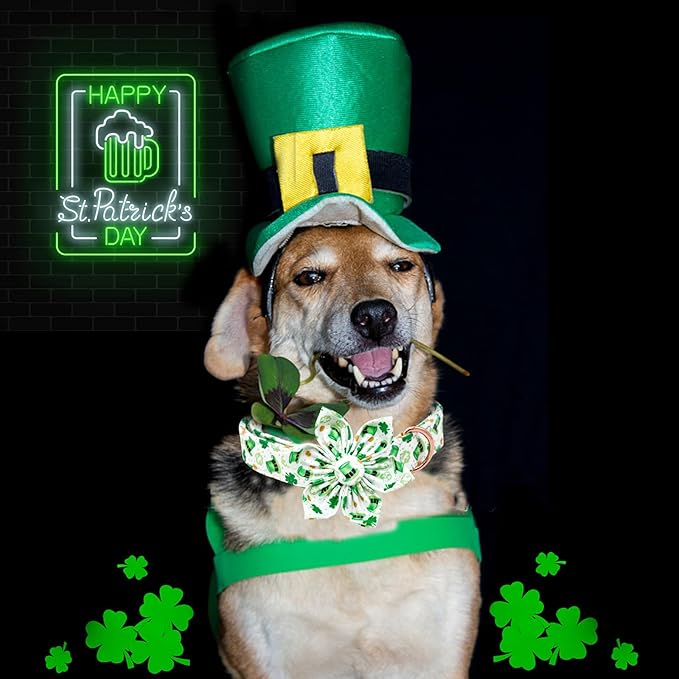 Lionheart glory St. Patrick's Day Dog Collar with Flower Dogs Collar,Soft Green Lucky Clover Shamrock Dog Collars Flower for X-Small Dogs Puppy Soft Collars Bows Heavy Duty