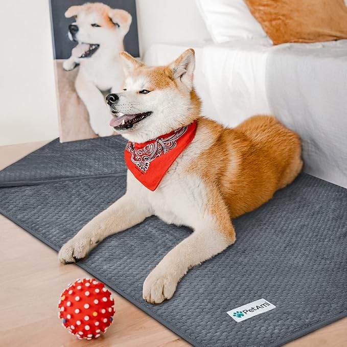 PetAmi Waterproof Dog Blanket, Leakproof XL Pet Blanket for Large Dogs, Furniture Sofa Couch Cover Protector, Fleece Cat Throw for Bed Crate Kennel, Reversible Washable Soft Plush, Twin 60x80 Gray
