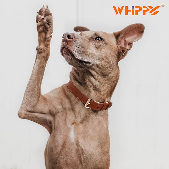 WHIPPY Leather Dog Collar for Small Medium Large Dog Adjustable Soft Breathable Leather Padded Puppy Collar with Alloy Buckle Heavy Duty Waterproof Classic Dog Pet Collar,Brown,S