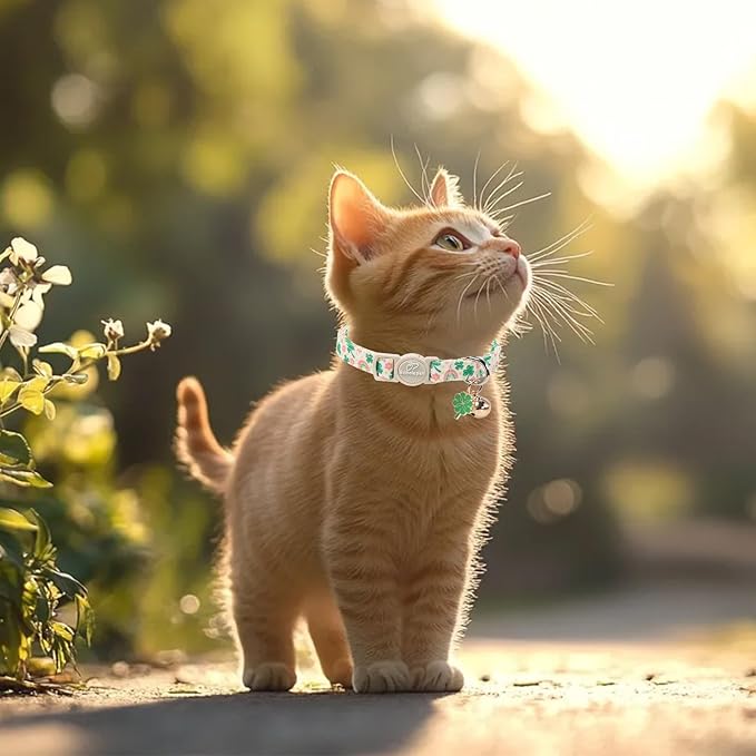 2 Pack St. Patrick’s Day Cat Collars - Breakaway Cat Collar with Bell, Green Lucky Clover Pendant, Adjustable Cute Pastel Rainbow Shamrock Kitten Collars for Boy Girl Cats