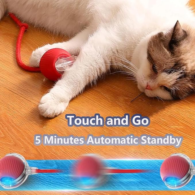 Interactive Cat Toys for Indoor Cats, Agility Move Cat Balls,Motion Activated Cat Balls, Cat Toys for Bored Indoor Cats (Blue)
